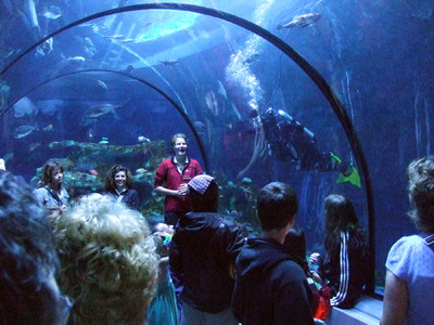 m_aquariumduquebec (1)