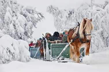Horse Drawn Sleigh – Austria – Myrkalen