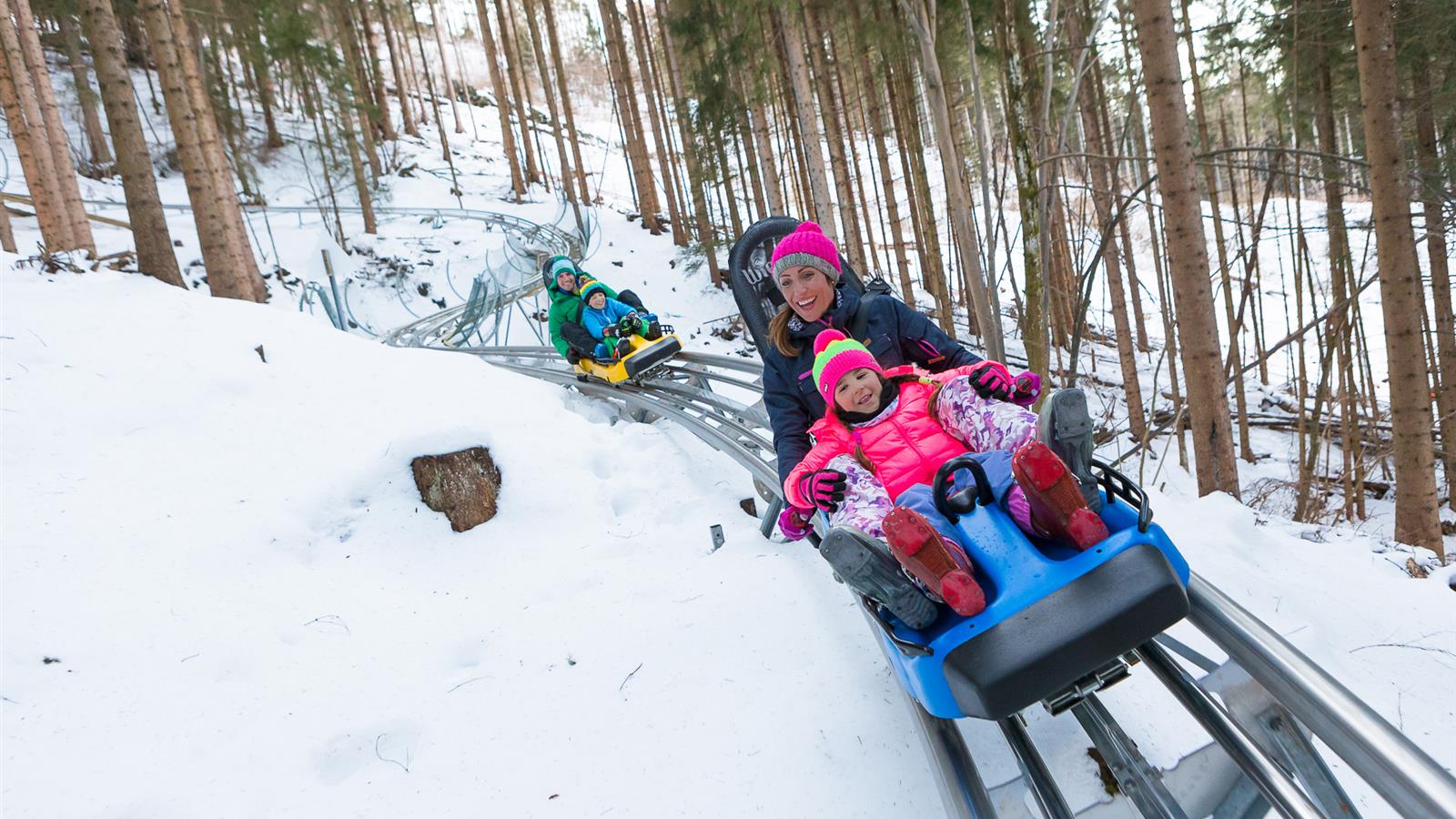 Alpine Coaster in Tarvisio